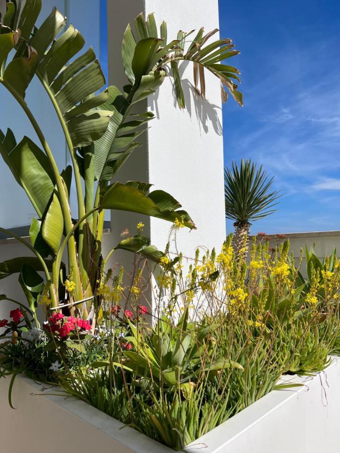 Sky Garden Locazione Turistica Apartment Polignano a Mare Exterior photo